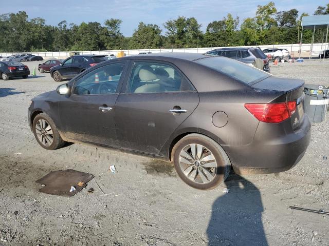 KNAFU4A20D5699786 - 2013 KIA FORTE EX GRAY photo 2