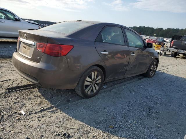 KNAFU4A20D5699786 - 2013 KIA FORTE EX GRAY photo 3