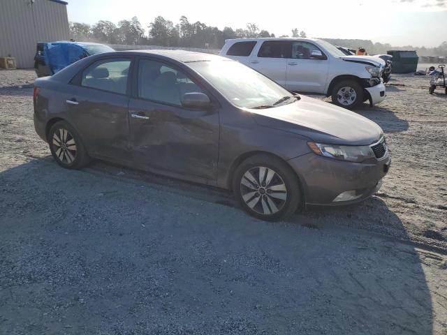 KNAFU4A20D5699786 - 2013 KIA FORTE EX GRAY photo 4