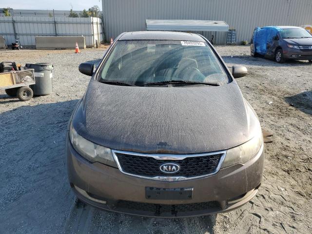 KNAFU4A20D5699786 - 2013 KIA FORTE EX GRAY photo 5