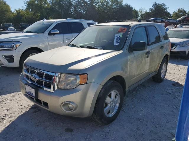 2011 FORD ESCAPE XLT, 