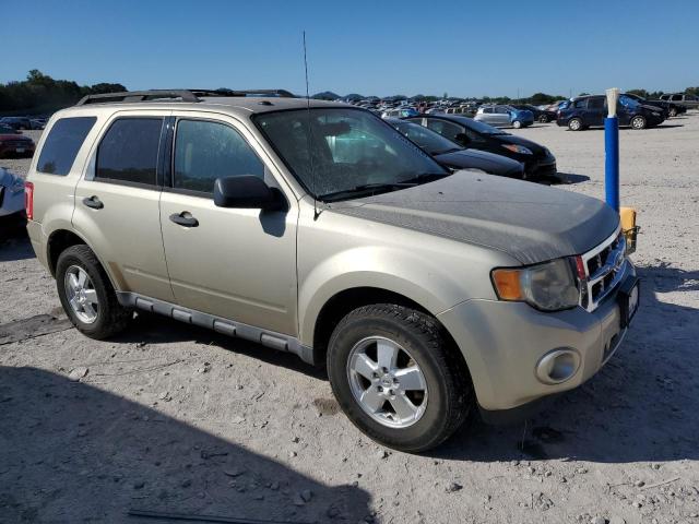 1FMCU9DG3BKB22447 - 2011 FORD ESCAPE XLT ბეჟი ფოტო 4