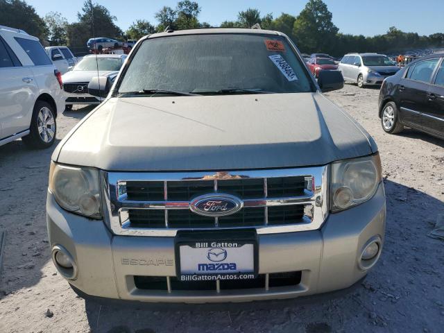 1FMCU9DG3BKB22447 - 2011 FORD ESCAPE XLT ბეჟი ფოტო 5
