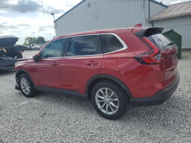 5J6RS4H47RL001247 - 2024 HONDA CR-V EX RED photo 2