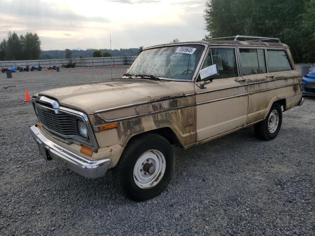 1980 JEEP WAGONEER, null
