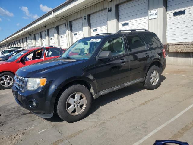 2011 FORD ESCAPE XLT, 