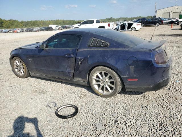 1ZVBP8AN2A5132983 - 2010 FORD MUSTANG BLUE photo 2