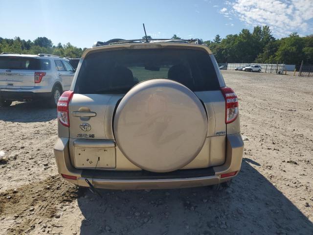 2T3BF4DV1CW201460 - 2012 TOYOTA RAV4 金色 照片 6