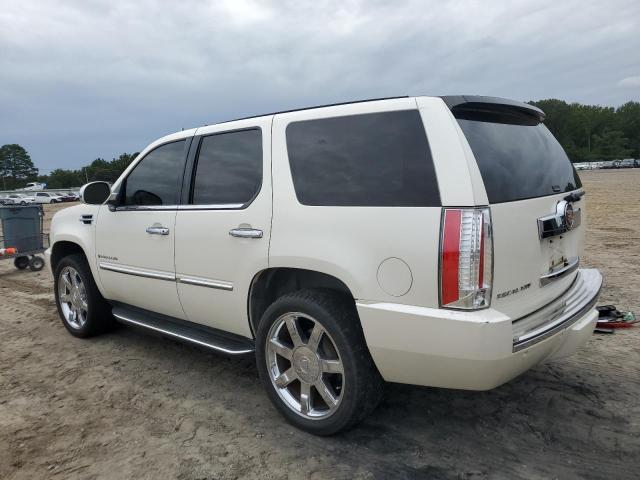 1GYFK63877R193174 - 2007 CADILLAC ESCALADE LUXURY Weiß Foto 2