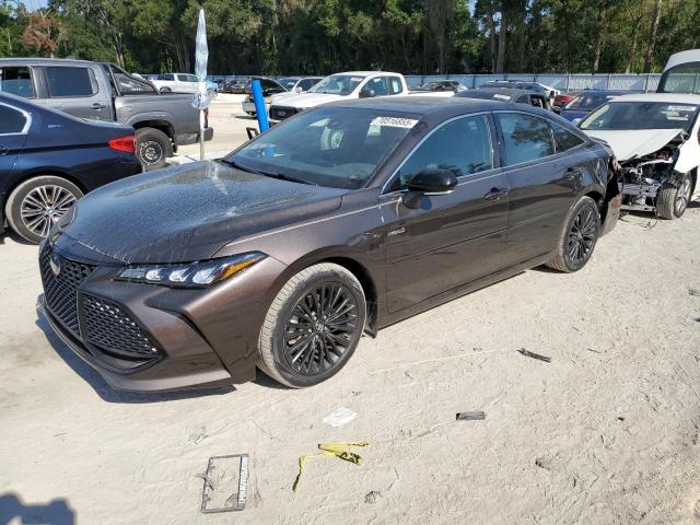 2019 TOYOTA AVALON XLE, 