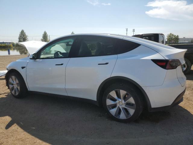 LRWYGDEEXPC104060 - 2023 TESLA MODEL Y 白色 照片 2