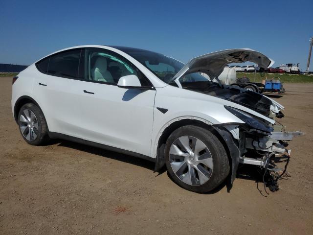 LRWYGDEEXPC104060 - 2023 TESLA MODEL Y 白色 照片 4