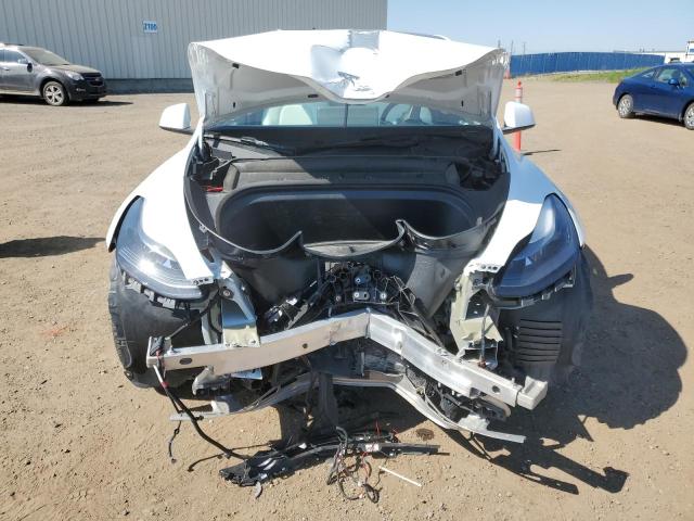 LRWYGDEEXPC104060 - 2023 TESLA MODEL Y 白色 照片 5