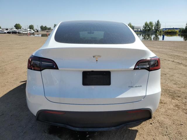 LRWYGDEEXPC104060 - 2023 TESLA MODEL Y 白色 照片 6
