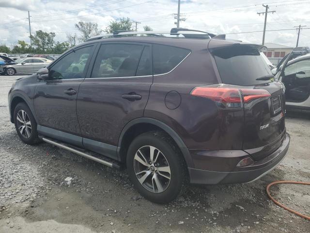 2T3WFREV7GW287098 - 2016 TOYOTA RAV4 XLE RED photo 2