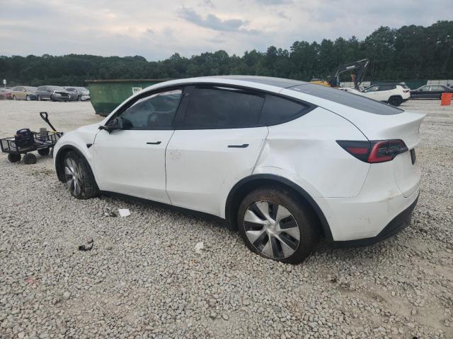 5YJYGDEDXMF105234 - 2021 TESLA MODEL Y Ağ foto 2