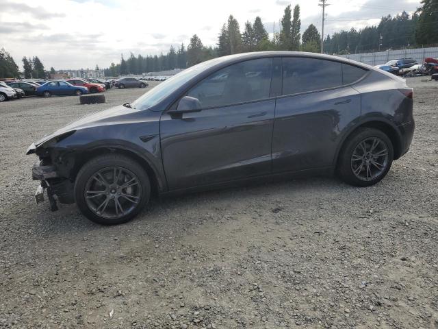 2025 TESLA MODEL Y, 