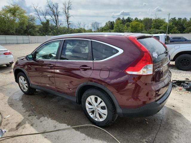 5J6RM4H71CL059317 - 2012 HONDA CR-V EXL 勃艮第红 照片 2