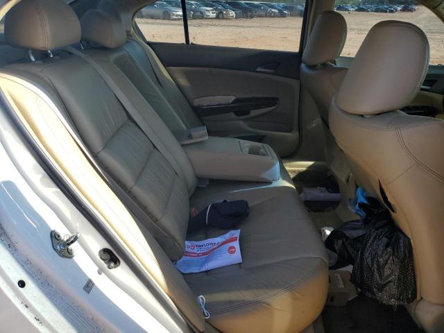 1HGCP26818A017463 - 2008 HONDA ACCORD EXL WHITE photo 10