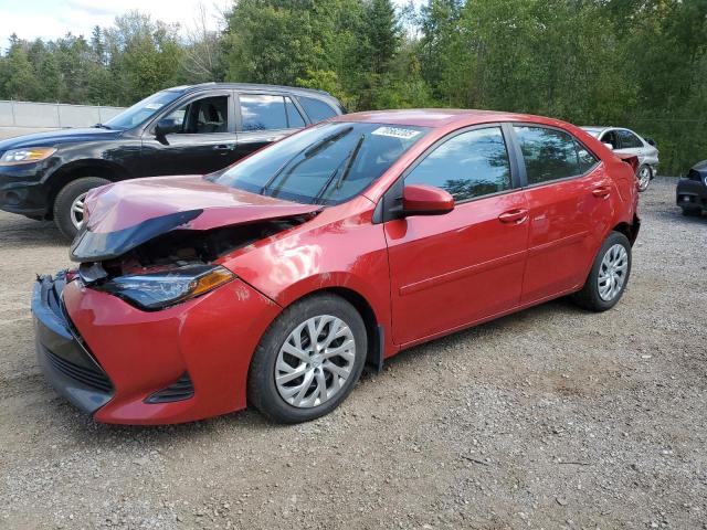 2019 TOYOTA COROLLA L, 