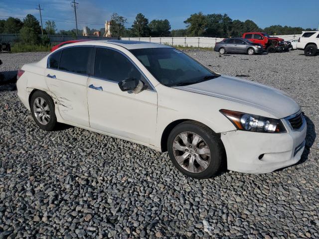 1HGCP36829A023327 - 2009 HONDA ACCORD EXL WHITE photo 4