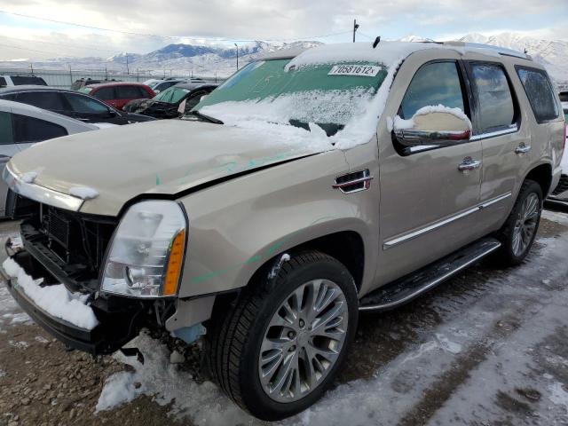 1GYFK23289R260663 - 2009 CADILLAC ESCALADE LUXURY TAN photo 1