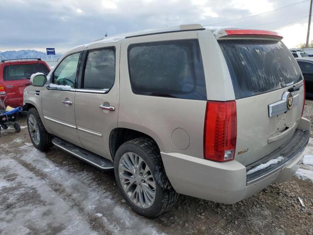 1GYFK23289R260663 - 2009 CADILLAC ESCALADE LUXURY TAN photo 2