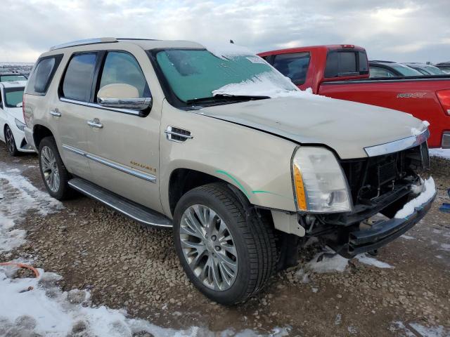 1GYFK23289R260663 - 2009 CADILLAC ESCALADE LUXURY TAN photo 4