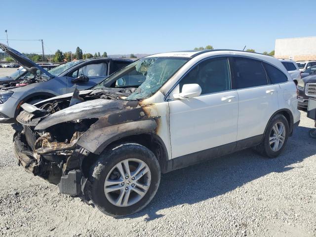2010 HONDA CR-V EXL, 