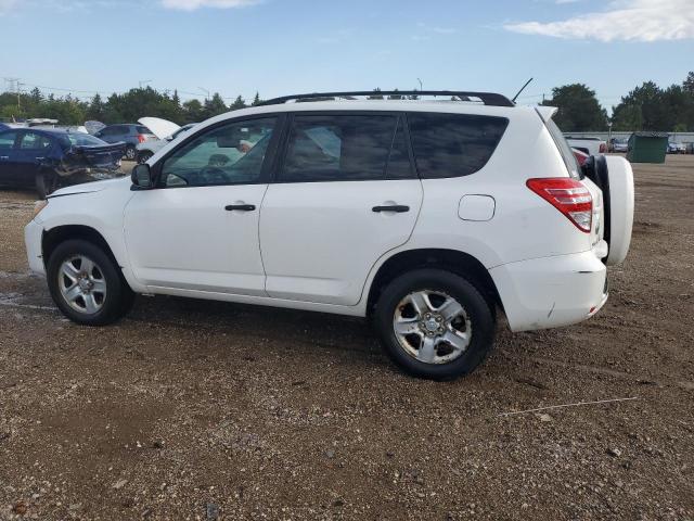 JTMZF4DVXA5017301 - 2010 TOYOTA RAV4 白色 照片 2