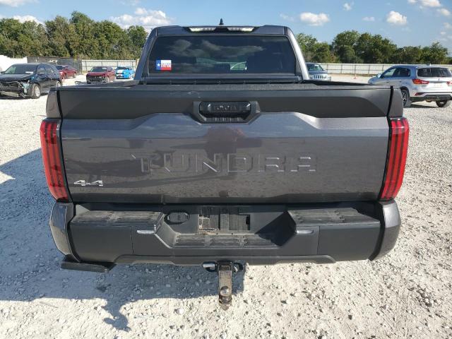 5TFLA5DB7PX118969 - 2023 TOYOTA TUNDRA CREWMAX SR GRAY photo 6