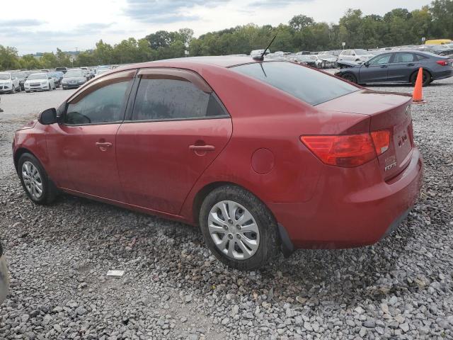 KNAFU4A23B5423017 - 2011 KIA FORTE EX RED photo 2