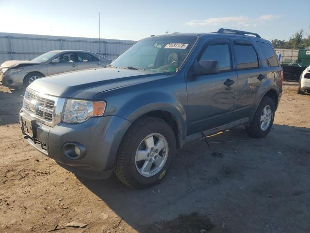 2010 FORD ESCAPE XLT, 