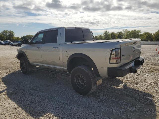 1D3HV13T99J525590 - 2009 DODGE RAM 1500 SILVER photo 2