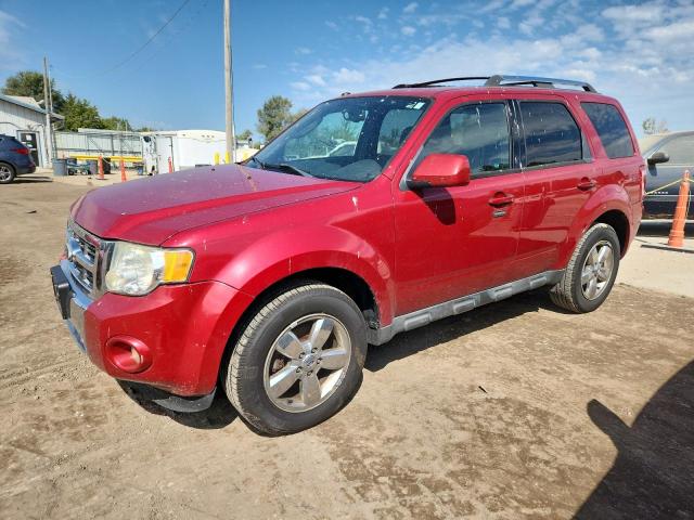 2010 FORD ESCAPE LIMITED, 