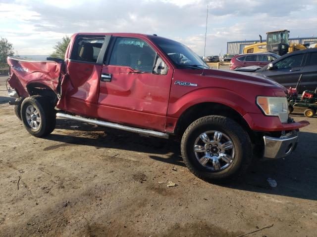 1FTFW1EV5AFB33760 - 2010 FORD F150 SUPERCREW RED photo 4