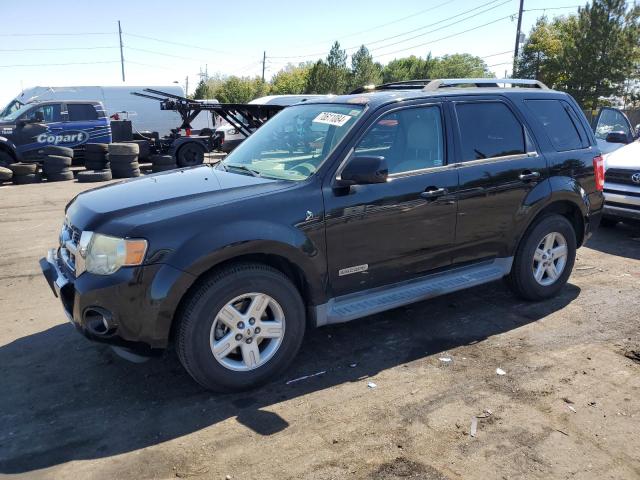 2008 FORD ESCAPE HEV, 