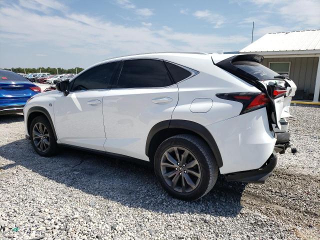 JTJSARBZ9M5022638 - 2021 LEXUS NX 300 BASE Ağ foto 2
