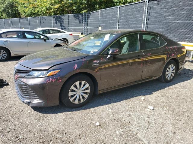 2019 TOYOTA CAMRY LE, 