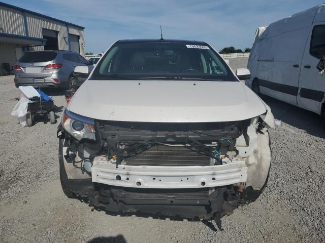 2FMDK4JC4DBC65631 - 2013 FORD EDGE SEL WHITE photo 5
