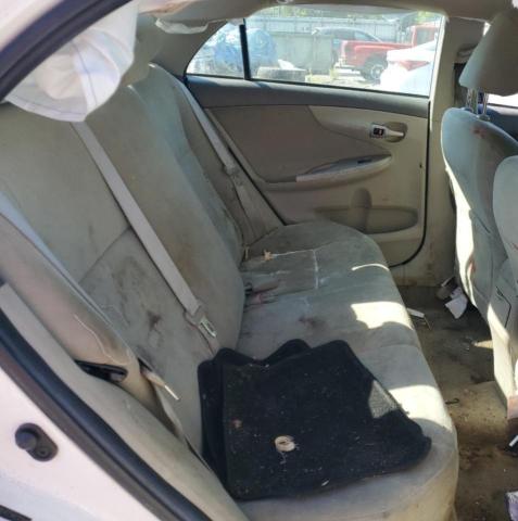 2T1BU4EE9AC323446 - 2010 TOYOTA COROLLA BASE WHITE photo 10