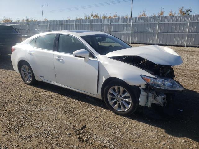 JTHBW1GG8D2010803 - 2013 LEXUS ES 300H WHITE photo 4