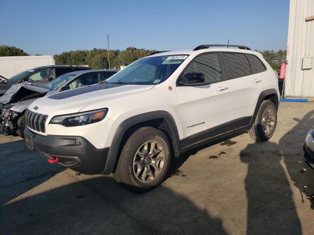 1C4PJMBX5ND543101 - 2022 JEEP CHEROKEE TRAILHAWK WHITE photo 1