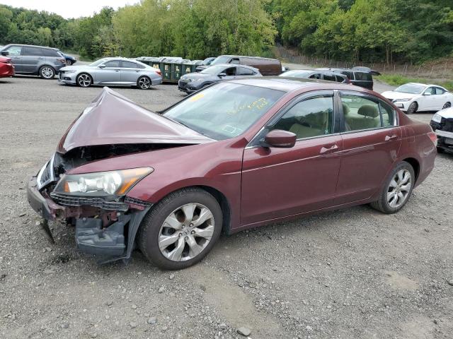 2010 HONDA ACCORD EX, 