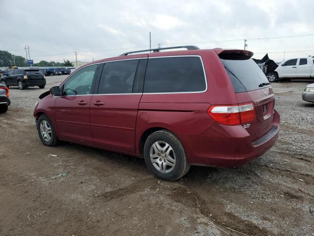 5FNRL38745B099092 - 2005 HONDA ODYSSEY EXL BURGUNDY photo 2