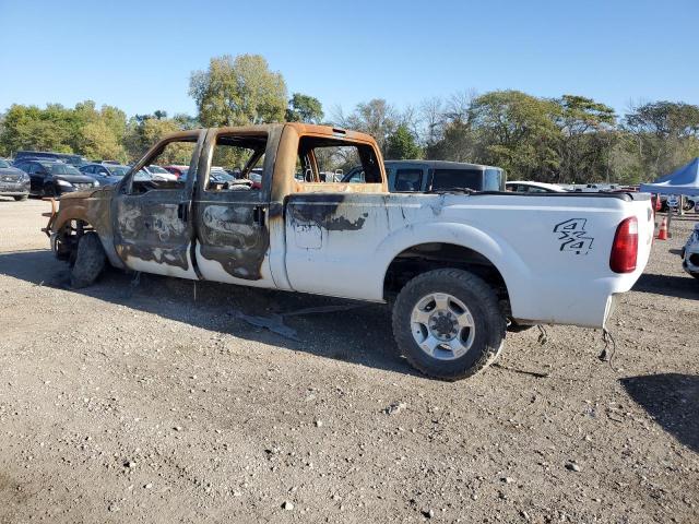 1A044967 - 2015 FORD F250 SUPER BURN photo 2