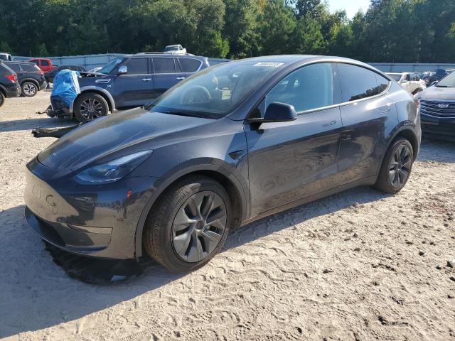 2025 TESLA MODEL Y, 
