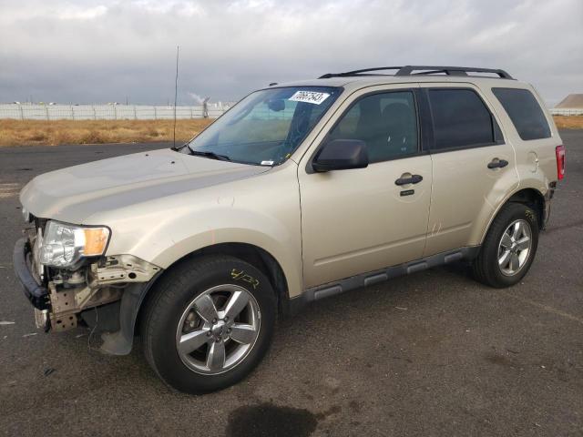 2012 FORD ESCAPE XLT, 