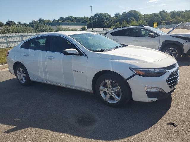 1G1ZD5ST0PF173758 - 2023 CHEVROLET MALIBU LT თეთრი ფოტო 4