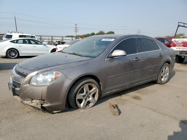 1G1ZC5EB3AF286634 - 2010 CHEVROLET MALIBU 1LT 棕色 照片 1